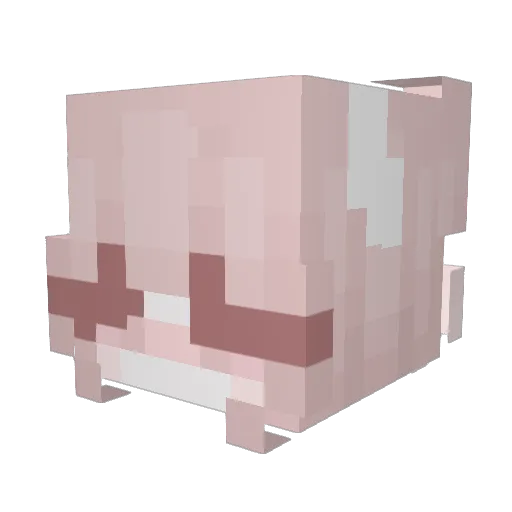 DadlessTori1 Minecraft avatar head, 3D render