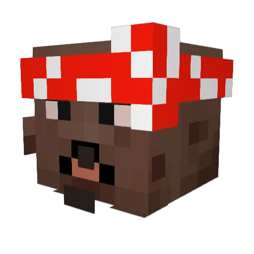 Dado77 Minecraft avatar head, 3D render
