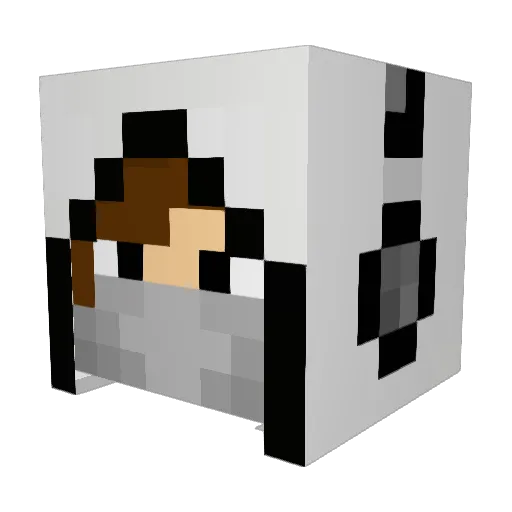 Dadof3 Minecraft avatar head, 3D render