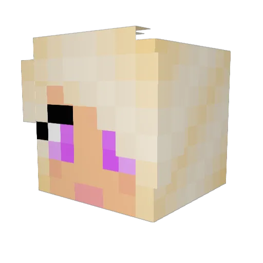 DadowN Minecraft avatar head, 3D render