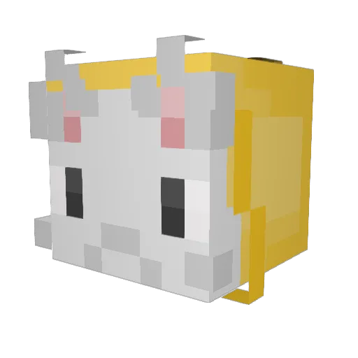 Dads_Son Minecraft avatar head, 3D render