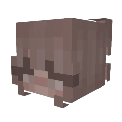 Dady3nb Minecraft avatar head, 3D render