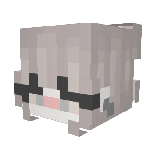 Dae0w0 Minecraft avatar head, 3D render
