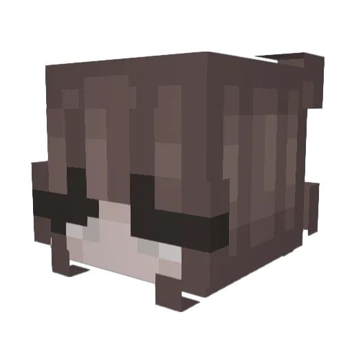 DaedraElPapyy__ Minecraft avatar head, 3D render