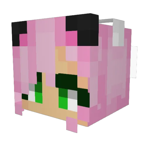 Daegwoo Minecraft avatar head, 3D render
