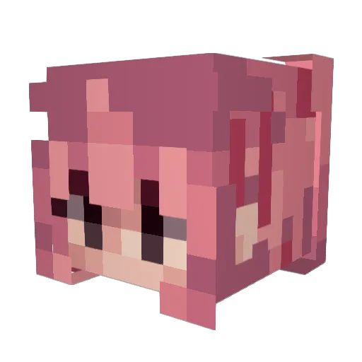 Daelynz Minecraft avatar head, 3D render