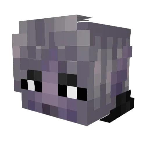 Daemarre Minecraft avatar head, 3D render