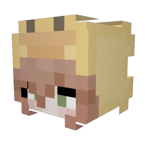 Daenith Minecraft avatar head, 3D render