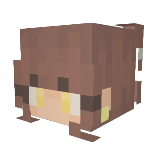 DaffiDilly Minecraft avatar head, 3D render