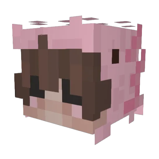 Daffjay_123 Minecraft avatar head, 3D render