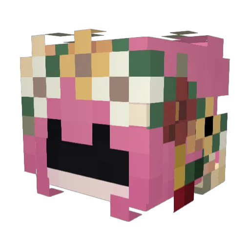 Daffodil1212 Minecraft avatar head, 3D render