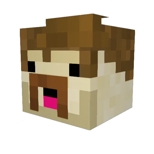 DaffyAirplane Minecraft avatar head, 3D render