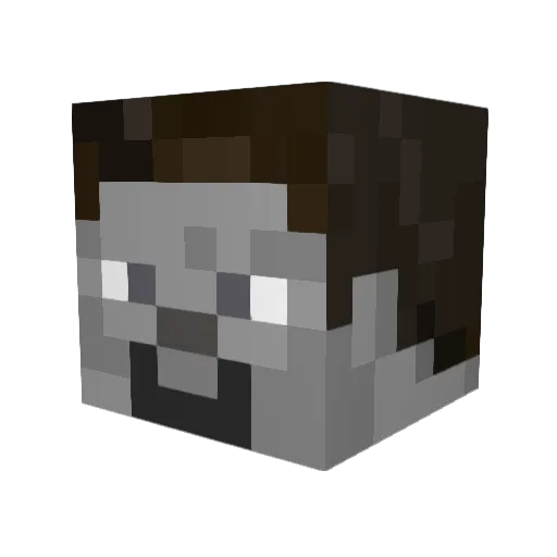 DaffyCatYT Minecraft avatar head, 3D render