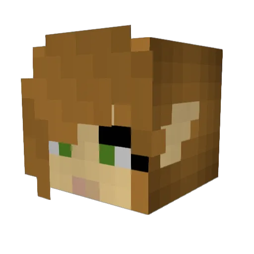 DaffyDuck88 Minecraft avatar head, 3D render