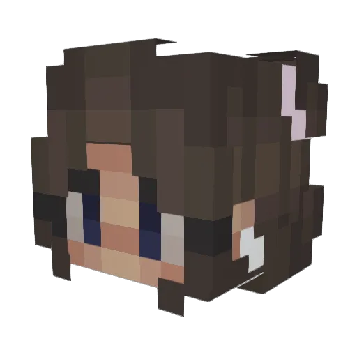 Daffy_26 Minecraft avatar head, 3D render
