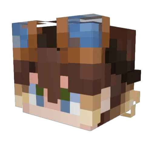 Daffy_Is_Online Minecraft avatar head, 3D render