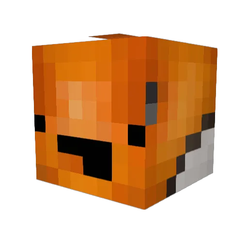 Dafish1 Minecraft avatar head, 3D render
