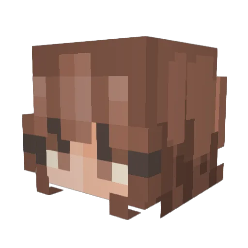 DaftDaffy08 Minecraft avatar head, 3D render