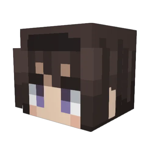 DaftxHunter Minecraft avatar head, 3D render