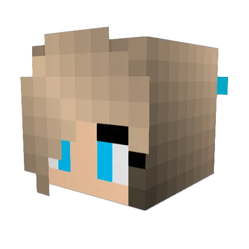 DagPro_Gaming Minecraft avatar head, 3D render