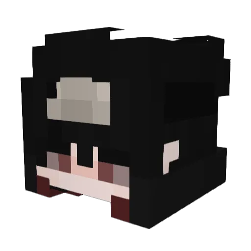 Dagan64 Minecraft avatar head, 3D render