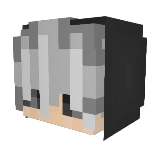 Dahchi Minecraft avatar head, 3D render