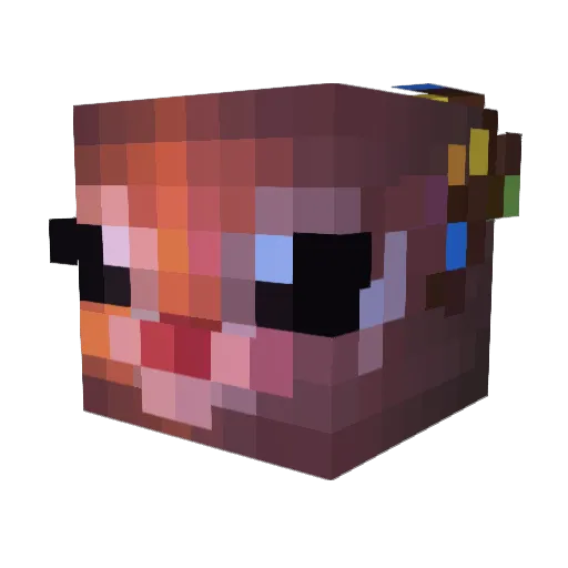 Dahlface717 Minecraft avatar head, 3D render