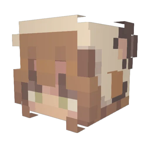 DaiTu111 Minecraft avatar head, 3D render