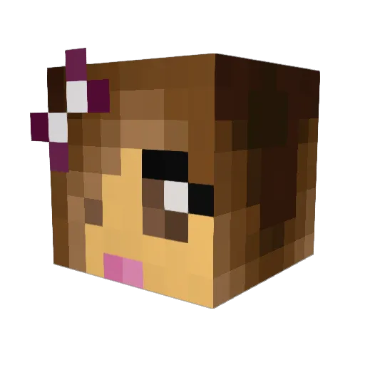 Daiadmin Minecraft avatar head, 3D render
