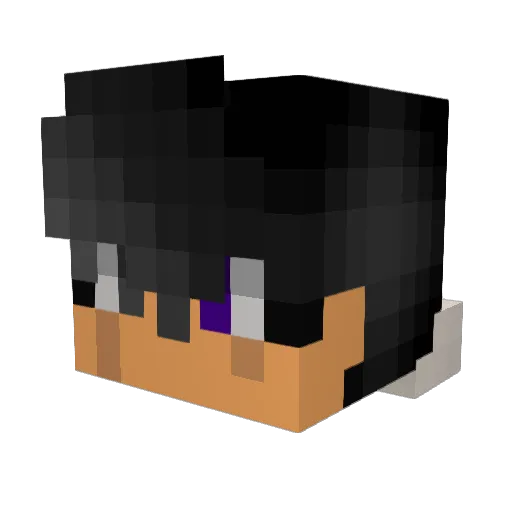 DailanG1 Minecraft avatar head, 3D render