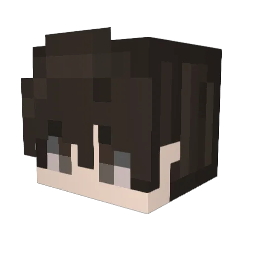 Dailro Minecraft avatar head, 3D render