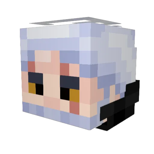 Dailymeds Minecraft avatar head, 3D render