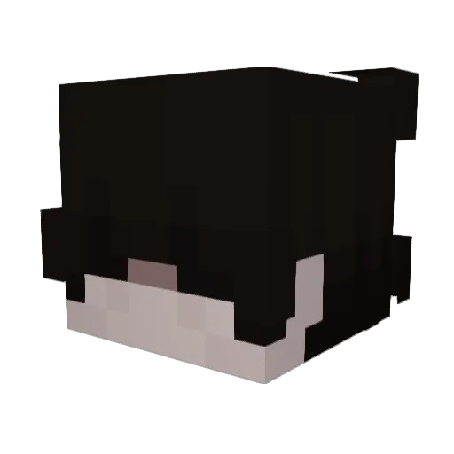 Daimon0222 Minecraft avatar head, 3D render