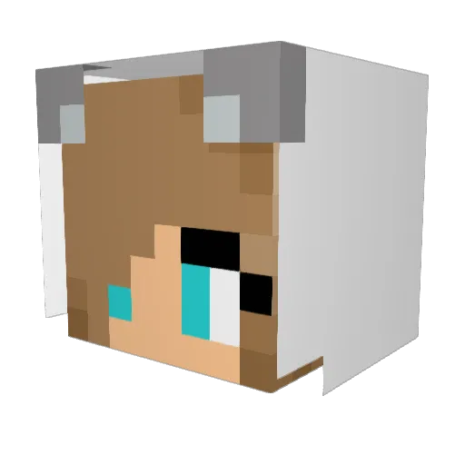 DaimonXx Minecraft avatar head, 3D render