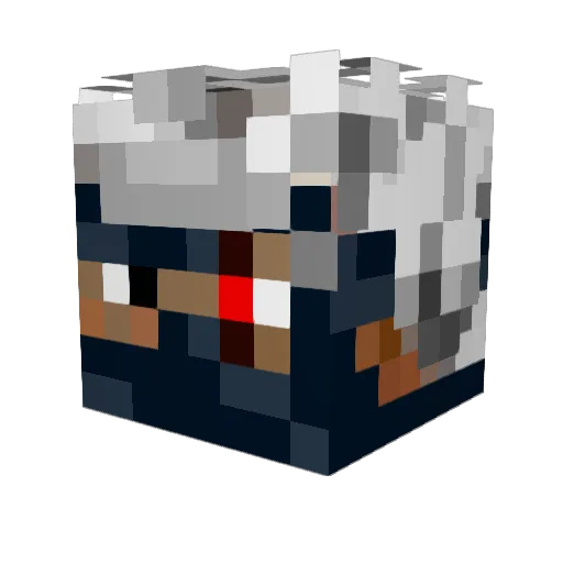 Dain05 Minecraft avatar head, 3D render