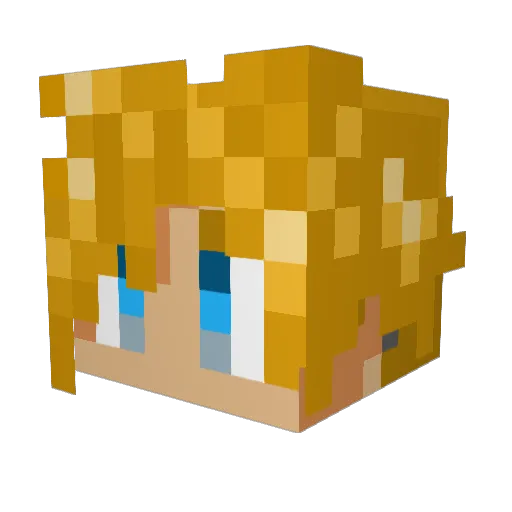 Dain42 Minecraft avatar head, 3D render