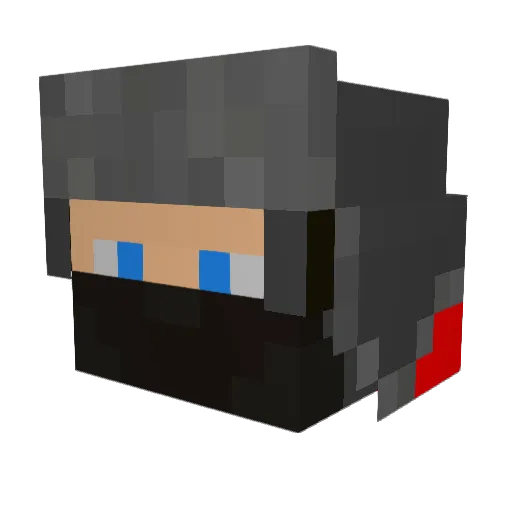 Dairei21 Minecraft avatar head, 3D render
