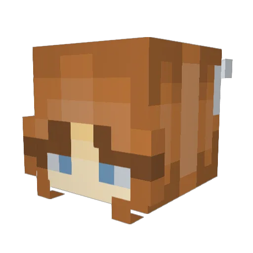 Dairyqueen232 Minecraft avatar head, 3D render