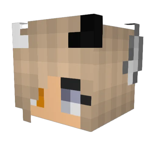 Daisy11928s Minecraft avatar head, 3D render