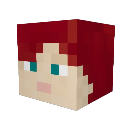 Daisy211 Minecraft avatar head, 3D render