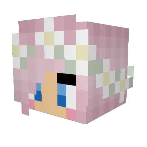 Daisy2311 Minecraft avatar head, 3D render