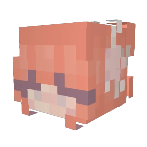 DaisyCraft5678 Minecraft avatar head, 3D render