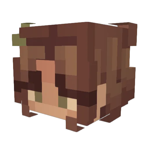 DaisyDancer247 Minecraft avatar head, 3D render