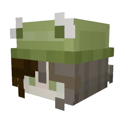 DaisyFIwr Minecraft avatar head, 3D render