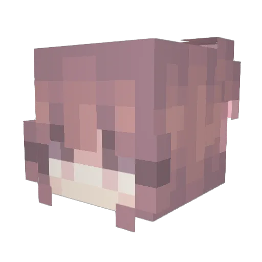 DaisyLetsPlays Minecraft avatar head, 3D render