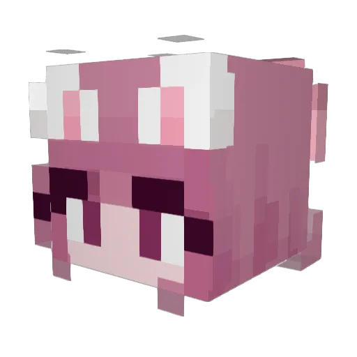 DaisyMay678 Minecraft avatar head, 3D render