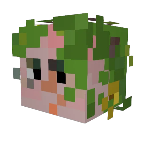 DaisyToy Minecraft avatar head, 3D render