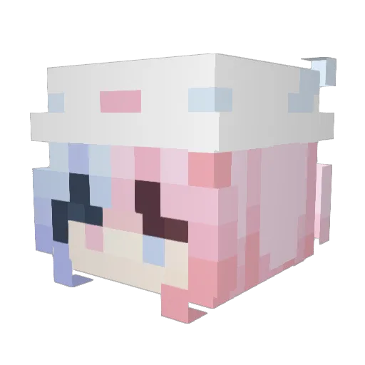 Daisy_377 Minecraft avatar head, 3D render