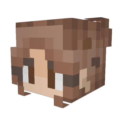 Daisydaisy50 Minecraft avatar head, 3D render