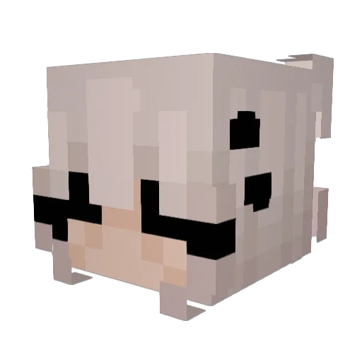 Dajva12 Minecraft avatar head, 3D render